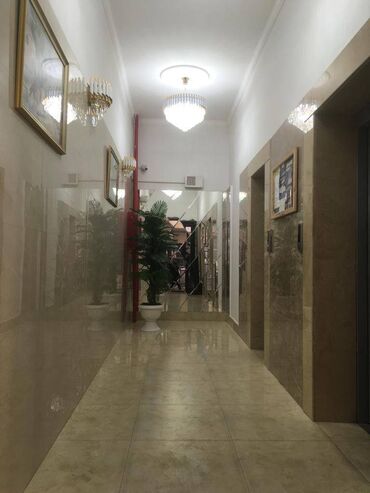 Yeni tikili: Ağ şəhər, 4 otaqlı, Yeni tikili, m. Xətai, 225 kv. m — 18