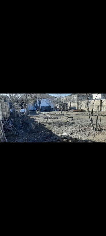 Bağ evlərinin satışı: Xaçmaz, 60 kv. m, 3 otaqlı, Hovuzsuz, Artezian quyusu, Telefon, İnternet -da lalafo.az — 5 Bağ evlərinin satışı: Xaçmaz, 60 kv. m, 3 otaqlı, Hovuzsuz, Artezian quyusu, Telefon, İnternet — 5
