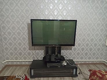 Ковры и паласы: Ковер — 23