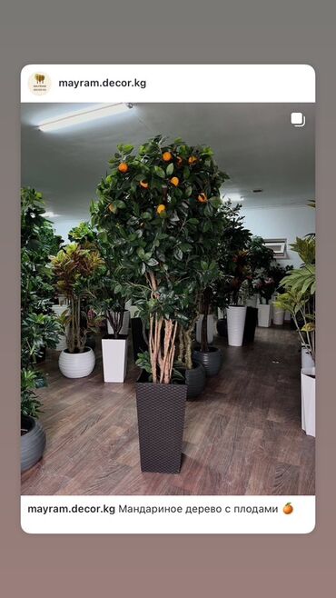 Декоративные цветы: Искусственные деревья — это идеальное решение для оформления интерьера at lalafo.kg — 12 Декоративные цветы: Искусственные деревья — это идеальное решение для оформления интерьера — 12