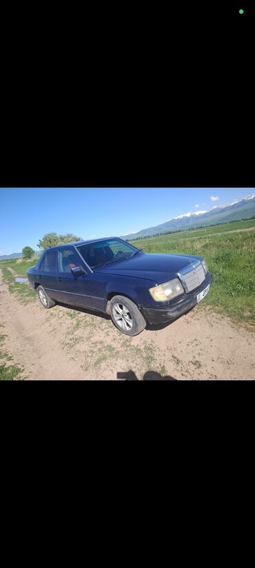 Mercedes-Benz: Mercedes-Benz W124: 1989 г., 2 л, Механика, Бензин, Седан