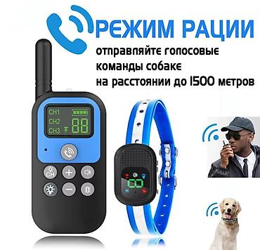 пса: Ошейник для дрессировки собак, с рацией, вибрацией Pet Trainer Этот — 2