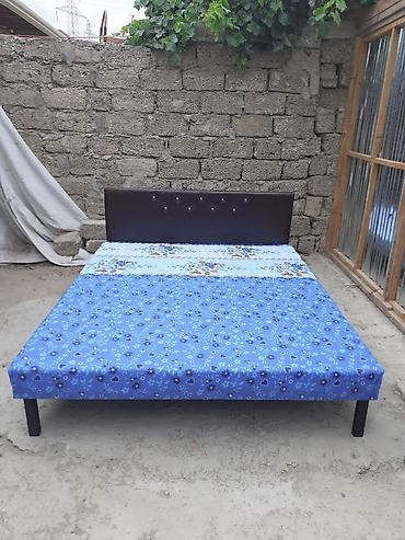 Çarpayılar: Kravat
Taza — 2