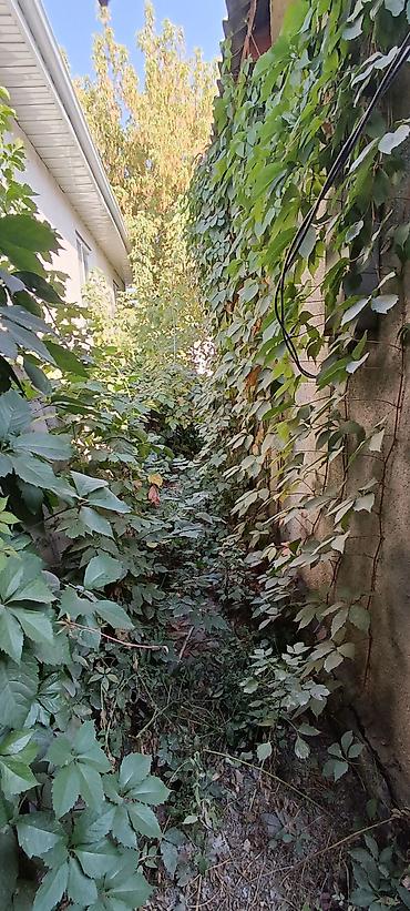 Продажа коттеджей и домов: 📌АДРЕС: Срочно продается старый дом в районе Старого Толчока, по — 8