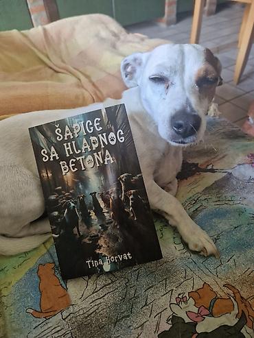 Knjige: Šapice sa hladnog betona – Tina Horvat - Knjiga: zbirka kratkih priča — 20