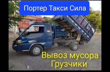 Грызуны: Вывоз мусора Вывоз мусора Вывоз мусора Вывоз мусора Вывоз мусора