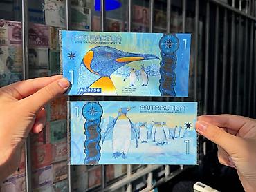 пингвины: Коллекционная банкнота “Antarctica – 1” от Antarctica Overseas — 3