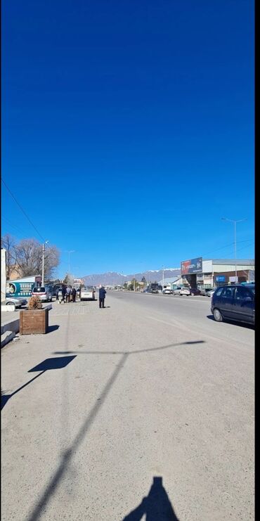 Продажа участков: 4 соток, Красная книга — 8