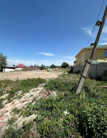 рынок тулпар: Курулуш, Кызыл китеп