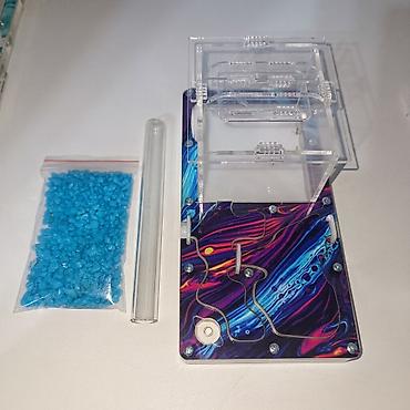 Другие животные: ‼️Колонии Муравьев с Формикариями разныные колоний большой выбор — 3