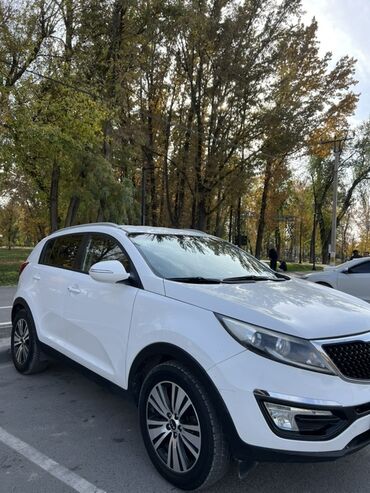 передний бампер опель вектра с: Kia Sportage: 2014 г., 2 л, Автомат, Дизель, Кроссовер