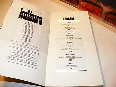 13x20 format: Časopis za teoriju i sociologiju kulture i kulturnu politiku broj 10 — 2
