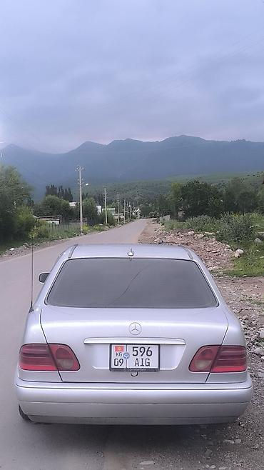 x class: Mercedes-Benz E-Class: 1995 г., 3.2 л, Автомат, Бензин, Седан — 2