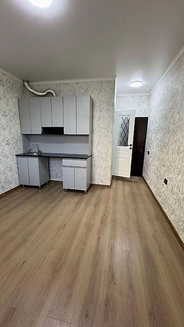 сдаю под сто: Студия, 18 м², 106 серия улучшенная, Цокольный этаж этаж, Свежий ремонт — 1