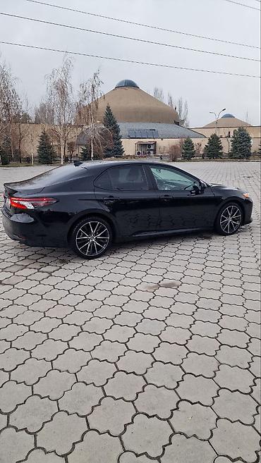 Toyota: Toyota Camry: 2019 г., Седан — 5