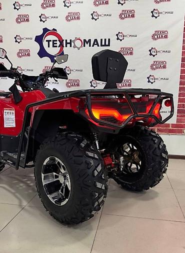 Квадроциклы: Квадроцикл Бензин, 320 куб. см, Взрослый — 10