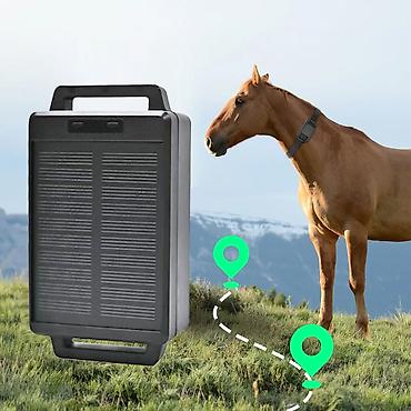tracker gps: GPS-трекер для животных 🐄🐑 Отслеживайте местоположение КРС, МРС — 2