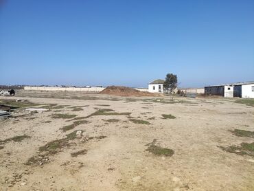 Torpaq sahələrinin satışı: 250 sot, Maklerlər narahat etməsin, Kupça (Çıxarış) -da lalafo.az — 13 Torpaq sahələrinin satışı: 250 sot, Maklerlər narahat etməsin, Kupça (Çıxarış) — 13