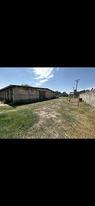 здаю склад: Сдается ангар + склад 500м2 - село мраморный -крыша новая черепица — 8