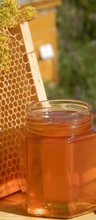 купить аквариум для рыбок недорого: Продаётся натуральный горный мёд.Со своей пасики.Имеется 500кг цена за