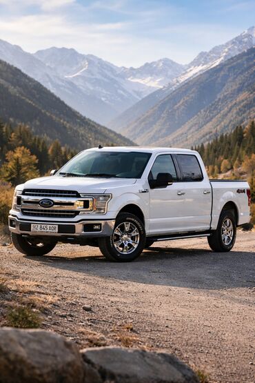 Ford: Ford F-150: 2019 г., 2.7 л, Автомат, Бензин, Внедорожник — 10