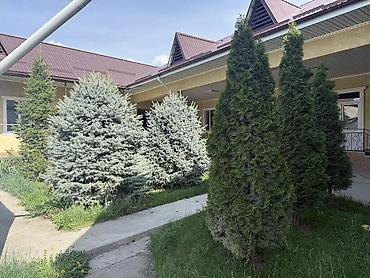аред: 20 м², 5 комнат, Дордой Моторс рынок, Без животных — 10