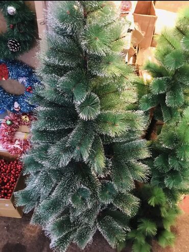 Yeni il ağacları: Yolka satisi teze mallar Endirimde 90 sm-19 man 120 sm-35man 150 — 17