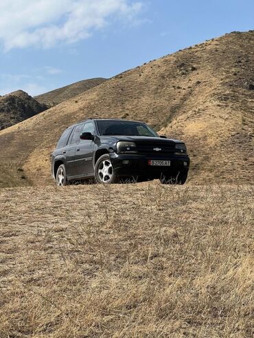 Chevrolet: Chevrolet Trailblazer: 2004 г., 4.2 л, Автомат, Газ, Внедорожник