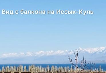 Продажа дач: Продаётся дача в городе Балыкчи, садовое общество «Абрикос» — 4