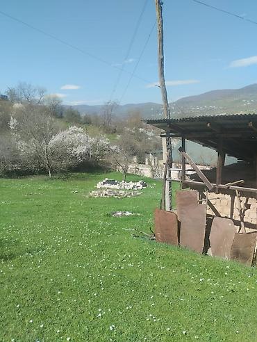 kiraye ile satilan evler: Dağ mənzərəli torpaq sahəsi və köhnə tikili - Geniş yaşıllıqla — 9