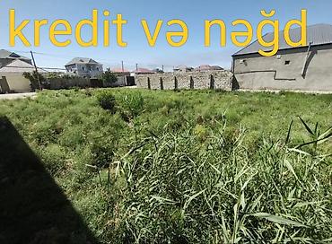 savalan torpag: 3 sot, Tikinti, Mülkiyyətçi — 1