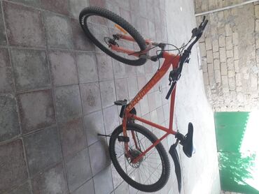 velosiped kreditle satis: Yeni Dağ velosipedi Trek, 28", Pulsuz çatdırılma