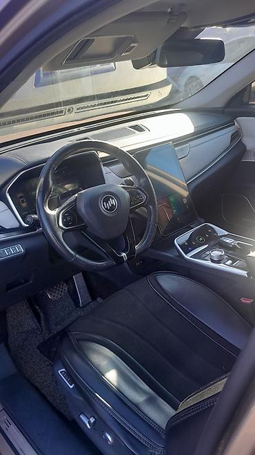 Weltmeister: Weltmeister EX5, 2020 г. — 12