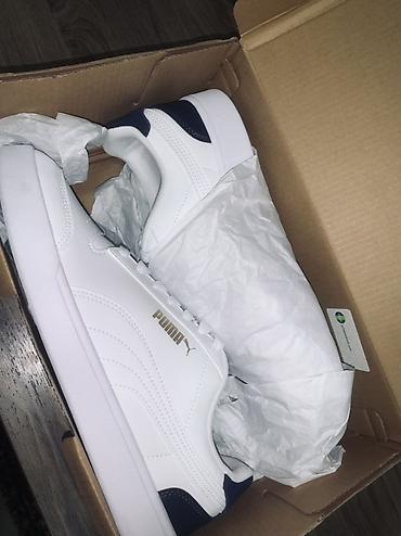 puma кросовки: Мужские кроссовки, 43, Puma, Новый, цвет - Белый, Платная доставка, Самовывоз — 3