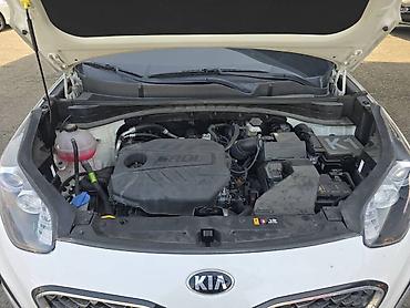 Kia: Kia Sportage: 2021 г., 1.6 л, Автомат, Дизель, Кроссовер — 7