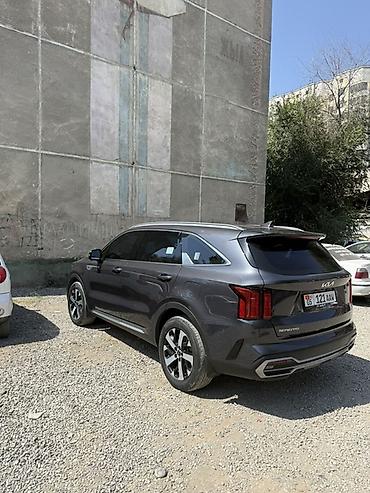 радиятор: Kia Sorento: 2023 г., 2.2 л, Автомат, Бензин, Кроссовер — 4