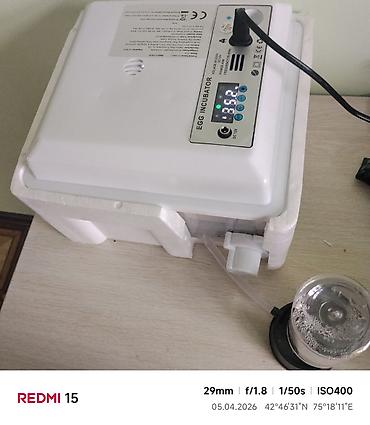 Инкубаторы: Инкубатор для яиц с автоматикой - Модель: Egg Incubator (панель — 10