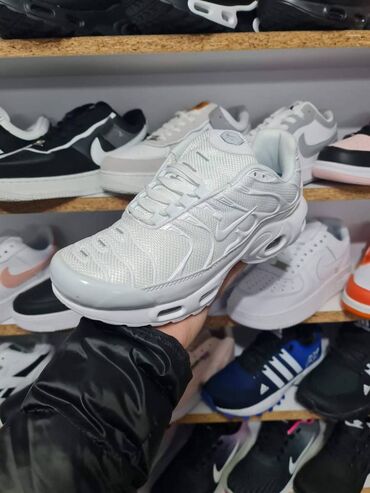 Patike: NIke air max tn patike

Novo
Brojevi 36 do 46

fb Moja Kupovina 1 — 14