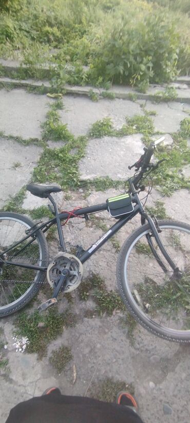 багажник для велосипеда: AZ - City bicycle, Башка бренд, Велосипед алкагы M (156 - 178 см), Башка материал, Колдонулган