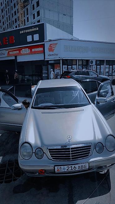 w210 дерево: Mercedes-Benz E-Class: 2001 г., 2 л, Автомат, Седан — 5