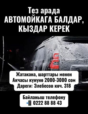 ялывый отук: Тез арада АВТОМОЙКАГА БАЛДАР, КЫЗДАР КЕРЕК Жатакана, шарттары менен