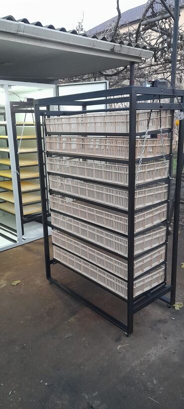 İnkubatorlar: 5000 yumurta, Azərbaycan, Tam avtomat, Bütün növ quşlaq üçün, Zəmanət ilə — 7