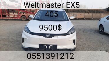 кредит машины: Weltmeister EX5, 2020 г., 45000 км, Передний, В наличии