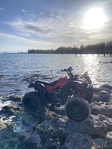 Квадроциклы: Квадроцикл Подходит для: - Прогулок по бездорожью, рыбалки, охоты - — 10