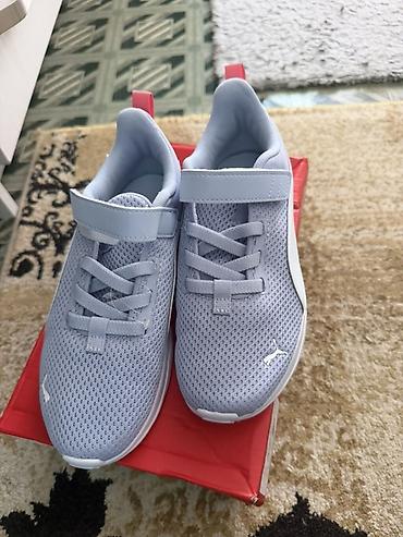puma palermo: Детские кроссовки Puma SoftFoam+ - Размер: EUR 32 (UK 13, US 1C — 1