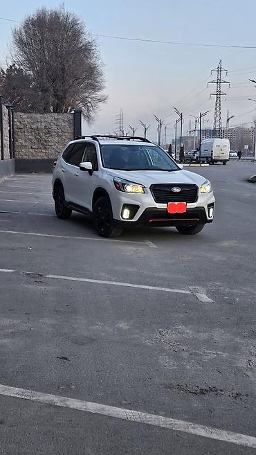 Subaru: Subaru Forester: 2019 г., 2.5 л, Вариатор, Бензин, Кроссовер — 1