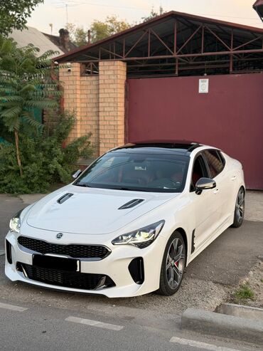 кия стрингер: Kia : 2020 г., 2 л, Автомат, Бензин, Седан