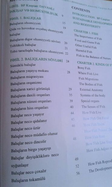 Ensiklopediyalar: Müxtəlif kitablar satılır. Biri 40 manat. "Nərəkimilər - dinozavrların -da lalafo.az — 6 Ensiklopediyalar: Müxtəlif kitablar satılır. Biri 40 manat. "Nərəkimilər - dinozavrların — 6