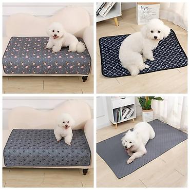 Зоотовары: ПРОДАЮ СУПЕР ПРОЧНЫЙ МЯЧЬ ДЛЯ СОБАК,А ТАК ЖЕ — 11