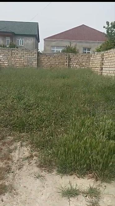 Torpaq: 2 sot, Kənd təsərrüfatı, Mülkiyyətçi, Kupça (Çıxarış) — 1